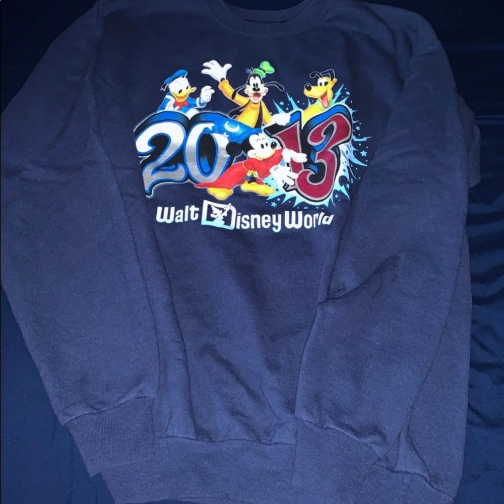 Disney 2013 sweater